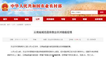 威信县守望乡新闻头条,乡村振兴战略下的守望新篇章