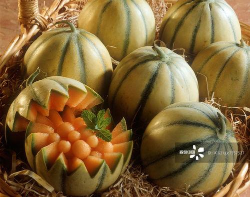 吃瓜密码1168,吃瓜密码背后的故事与真相