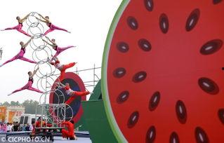 夏邑县吃瓜大赛,全民狂欢的吃瓜盛宴