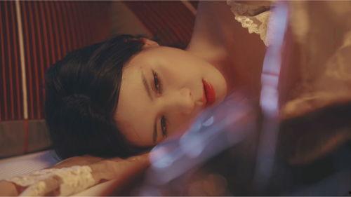 明星助手指南,揭秘明星背后的贴心助手