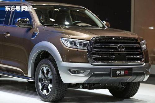 皮卡晨明星,闪耀星途，梦想成真