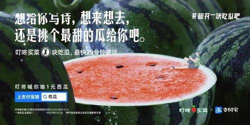 吃文案的瓜,一场视觉与味蕾的盛宴