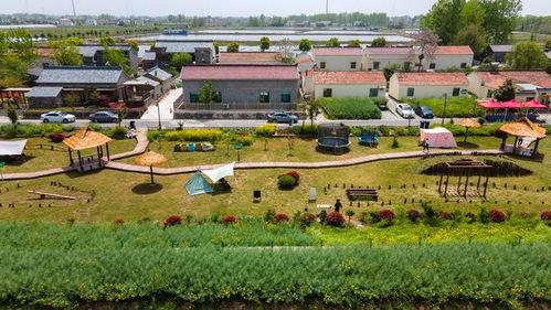 金湖县网红,揭秘网络红人的崛起之路