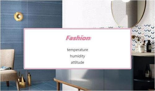 网红地砖品牌推荐,引领家居潮流的瓷砖之星