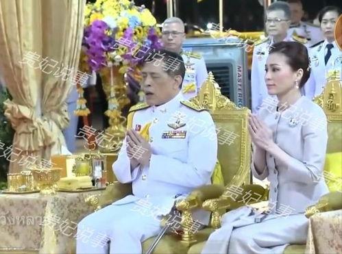 小说贵妃在线吃瓜,瓜田李下，宫廷风云尽收眼底