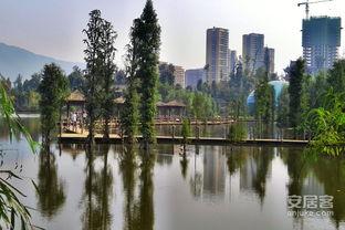 重庆璧山网红公园西洋,西洋风情与自然美景的完美融合