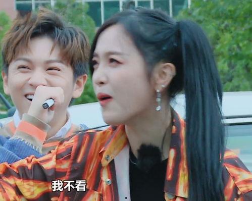 武艺吃瓜综艺在线观看免费,免费在线观看，揭秘明星幕后趣事