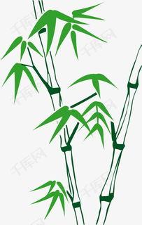 今日头条竹子销售,绿色环保，引领家居时尚潮流