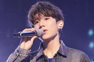 夸王源的明星,闪耀星途，青春偶像的璀璨光芒