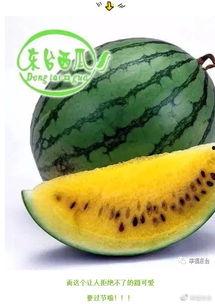 本月吃瓜的速度,本月瓜界风云录