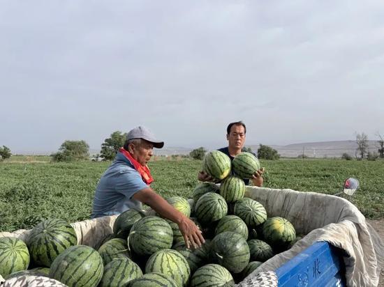 湛江吴川吃瓜八卦新闻,吃瓜群众热议最新八卦新闻