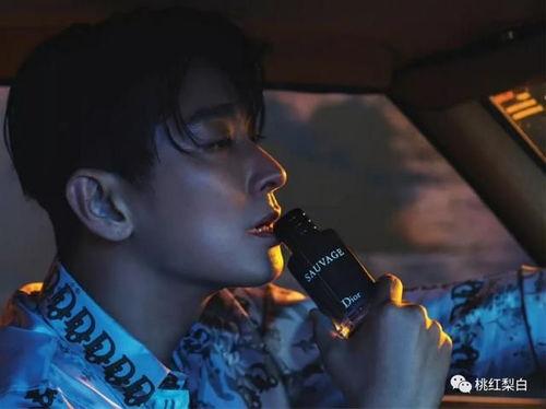 明星喝酒的广告,明星代言酒品广告集锦