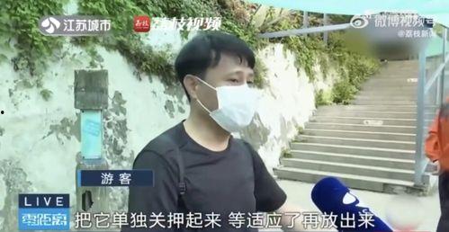 吃瓜逛街的网红是谁,揭秘网红日常