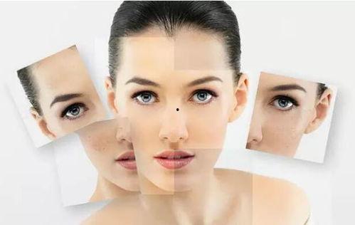 明星叫菊花,星光璀璨的娱乐圈传奇