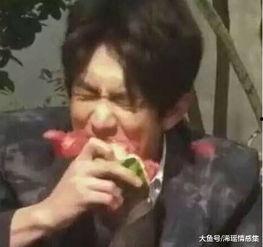 二总流浪哥吃瓜,揭秘娱乐圈幕后故事