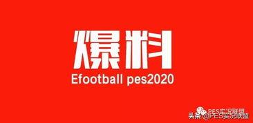 平安最新大爆料下载安装,下载安装背后的秘密与惊喜