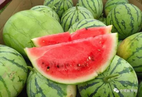 大蓝吃瓜,揭秘娱乐圈幕后真相