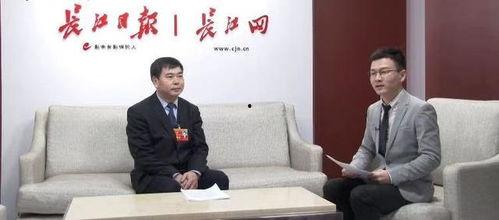 今日头条蔡甸区长,聚焦发展新篇章，共绘区域繁荣图