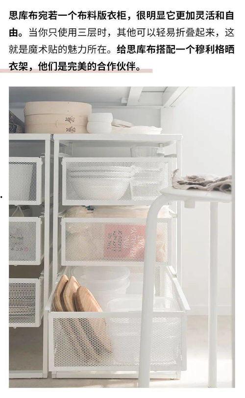 镇江明星保镖哪家好找,镇江专业明星保镖服务推荐