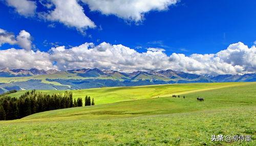头条怎么发风景图
