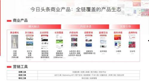 头条平台友善吗,构建友善互动的数字家园”