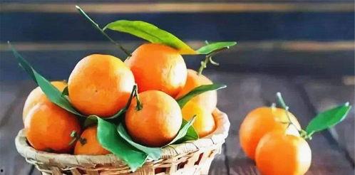 橘子吃瓜八卦,揭秘娱乐圈背后的秘密与传闻