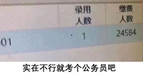 头条工作好找吗现在,就业市场的香饽饽，求职之路顺畅吗？