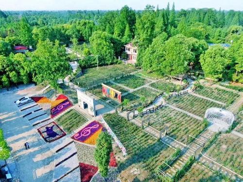 红河农村网红打卡,网红打卡地带你领略田园风光