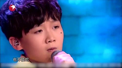 网红少年原唱,青春旋律中的梦想与成长