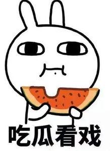 吃瓜系草知乎,揭秘网络热词背后的文化现象