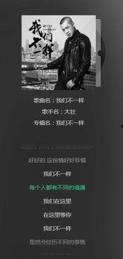 抖音德州网红歌曲叫什么,传唱大街小巷的旋律之谜