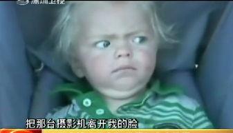 赔罪记者会在线观看,真相与反思的交织